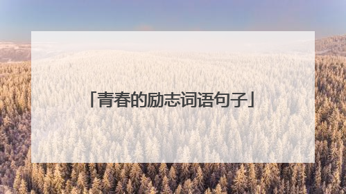 青春的励志词语句子