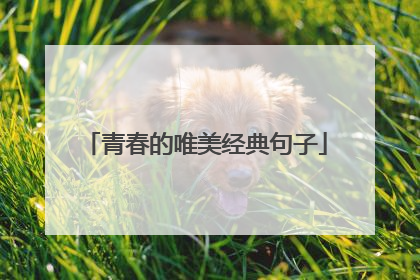 青春的唯美经典句子