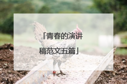 青春的演讲稿范文五篇