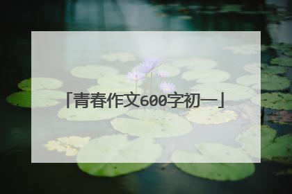 青春作文600字初一