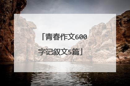 青春作文600字记叙文5篇