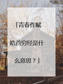 青春作赋 皓首穷经是什么意思？