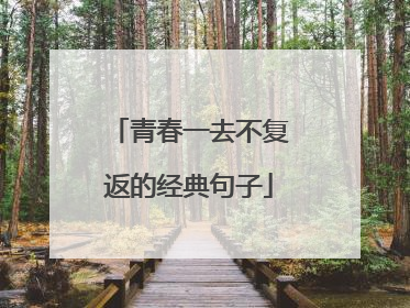 青春一去不复返的经典句子