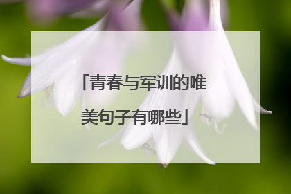 青春与军训的唯美句子有哪些