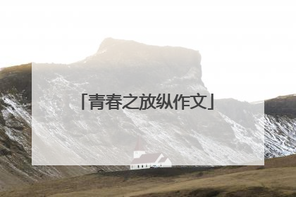 青春之放纵作文