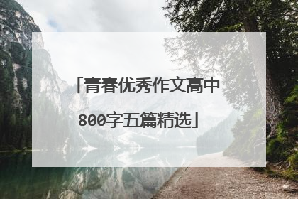 青春优秀作文高中800字五篇精选