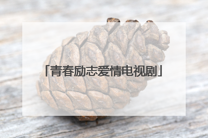 青春励志爱情电视剧