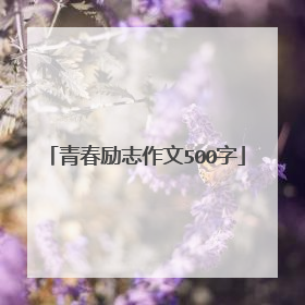 青春励志作文500字