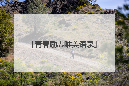 青春励志唯美语录