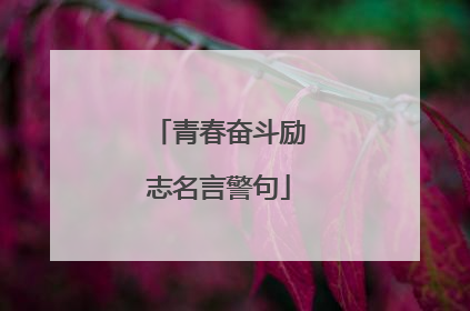 青春奋斗励志名言警句