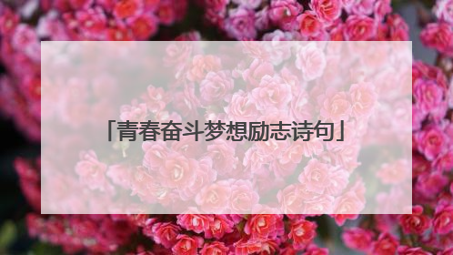 青春奋斗梦想励志诗句
