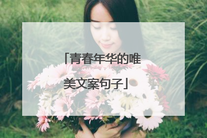 青春年华的唯美文案句子