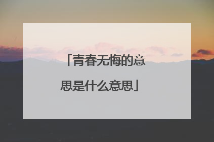 青春无悔的意思是什么意思