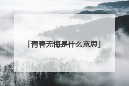 青春无悔是什么意思