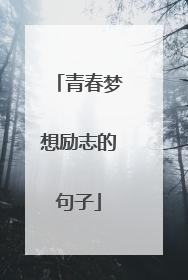 青春梦想励志的句子