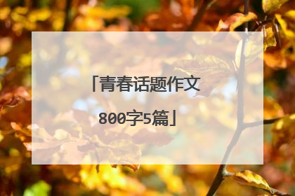 青春话题作文800字5篇