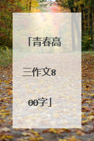 青春高三作文800字