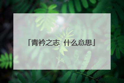 青衿之志 什么意思