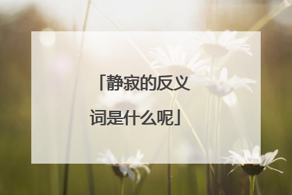 静寂的反义词是什么呢