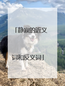 静寂的近义词和反义词