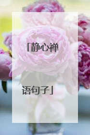 静心禅语句子