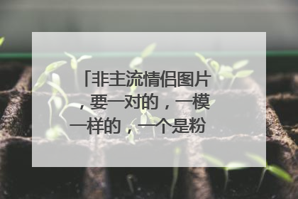 非主流情侣图片，要一对的，一模一样的，一个是粉色，一个是蓝色