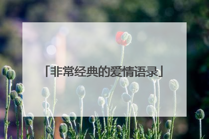 非常经典的爱情语录