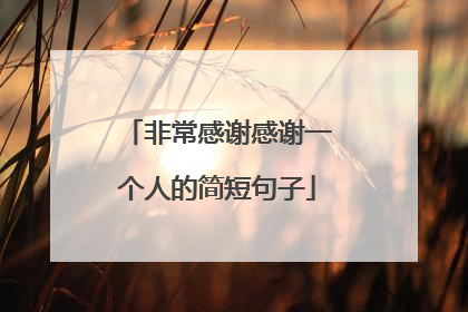 非常感谢感谢一个人的简短句子
