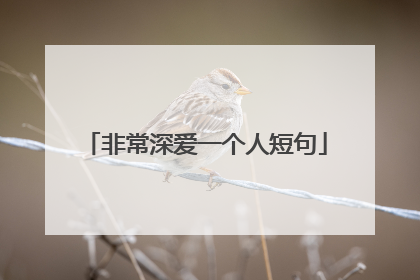 非常深爱一个人短句