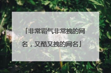 非常霸气非常拽的网名,又酷又拽的网名
