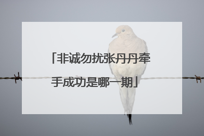 非诚勿扰张丹丹牵手成功是哪一期