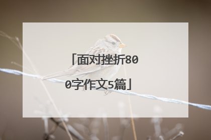 面对挫折800字作文5篇