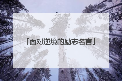 面对逆境的励志名言