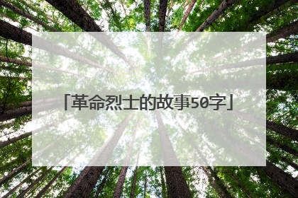 革命烈士的故事50字