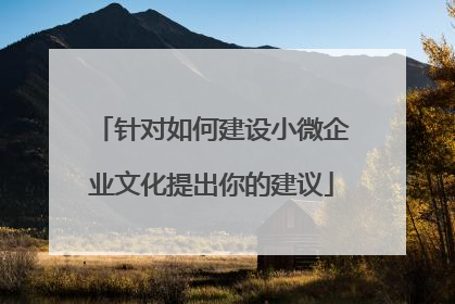 针对如何建设小微企业文化提出你的建议