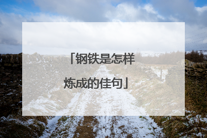 钢铁是怎样炼成的佳句