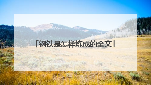 钢铁是怎样炼成的全文