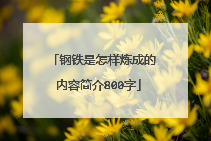 钢铁是怎样炼成的内容简介800字