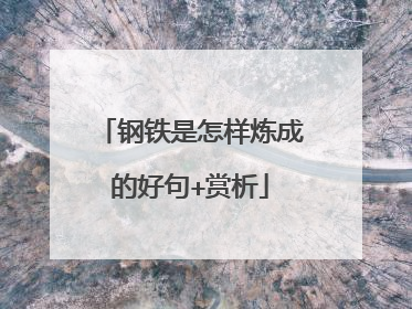 钢铁是怎样炼成的好句+赏析