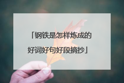 钢铁是怎样炼成的好词好句好段摘抄