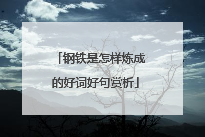 钢铁是怎样炼成的好词好句赏析