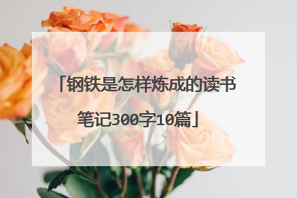 钢铁是怎样炼成的读书笔记300字10篇