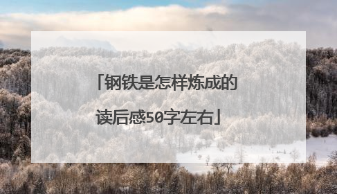 钢铁是怎样炼成的读后感50字左右