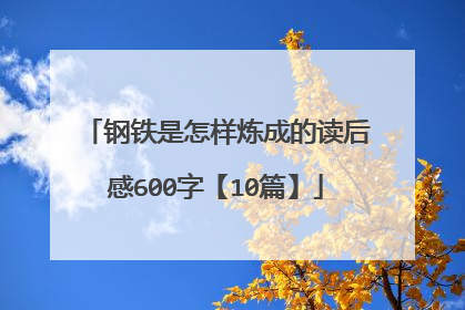 钢铁是怎样炼成的读后感600字【10篇】