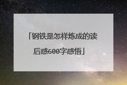 钢铁是怎样炼成的读后感600字感悟