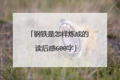 钢铁是怎样炼成的读后感600字
