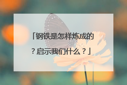 钢铁是怎样炼成的？启示我们什么？
