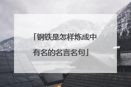 钢铁是怎样炼成中有名的名言名句