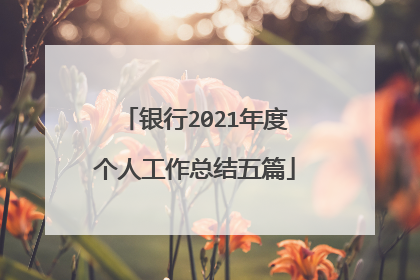 银行2021年度个人工作总结五篇