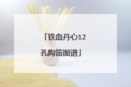 铁血丹心12孔陶笛图谱
